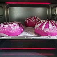 火龙果乳酪蜜豆包：颜值高手的做法图解26