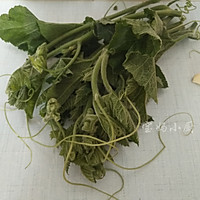 清炒南瓜秧的做法图解1