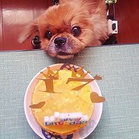 狗狗生日蛋糕（纯天然无色素无面粉）的做法图解13