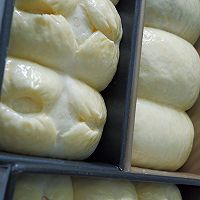 面包|三天都软软的牛奶吐司的做法图解9