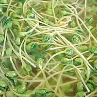 凤尾虾巢的做法图解5