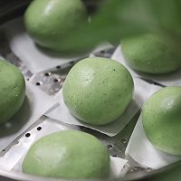 自己动手做咸蛋黄肉松青团的做法图解12