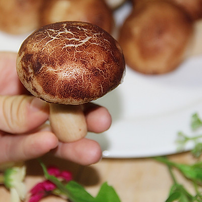 香菇豆沙包