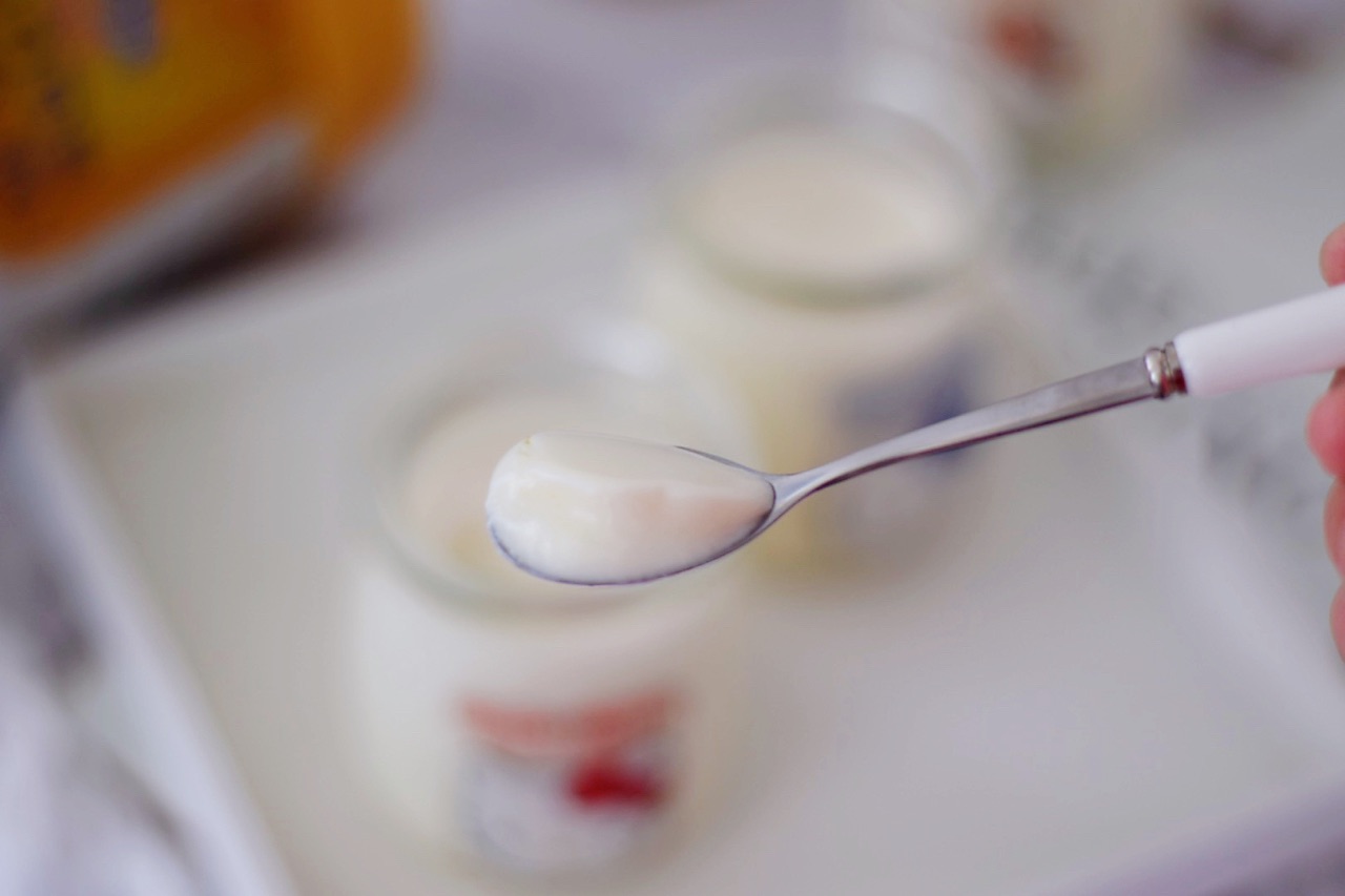 自制奶粉酸奶怎么做_自制奶粉酸奶的做法_泣哥儿的厨房故事_豆果美食