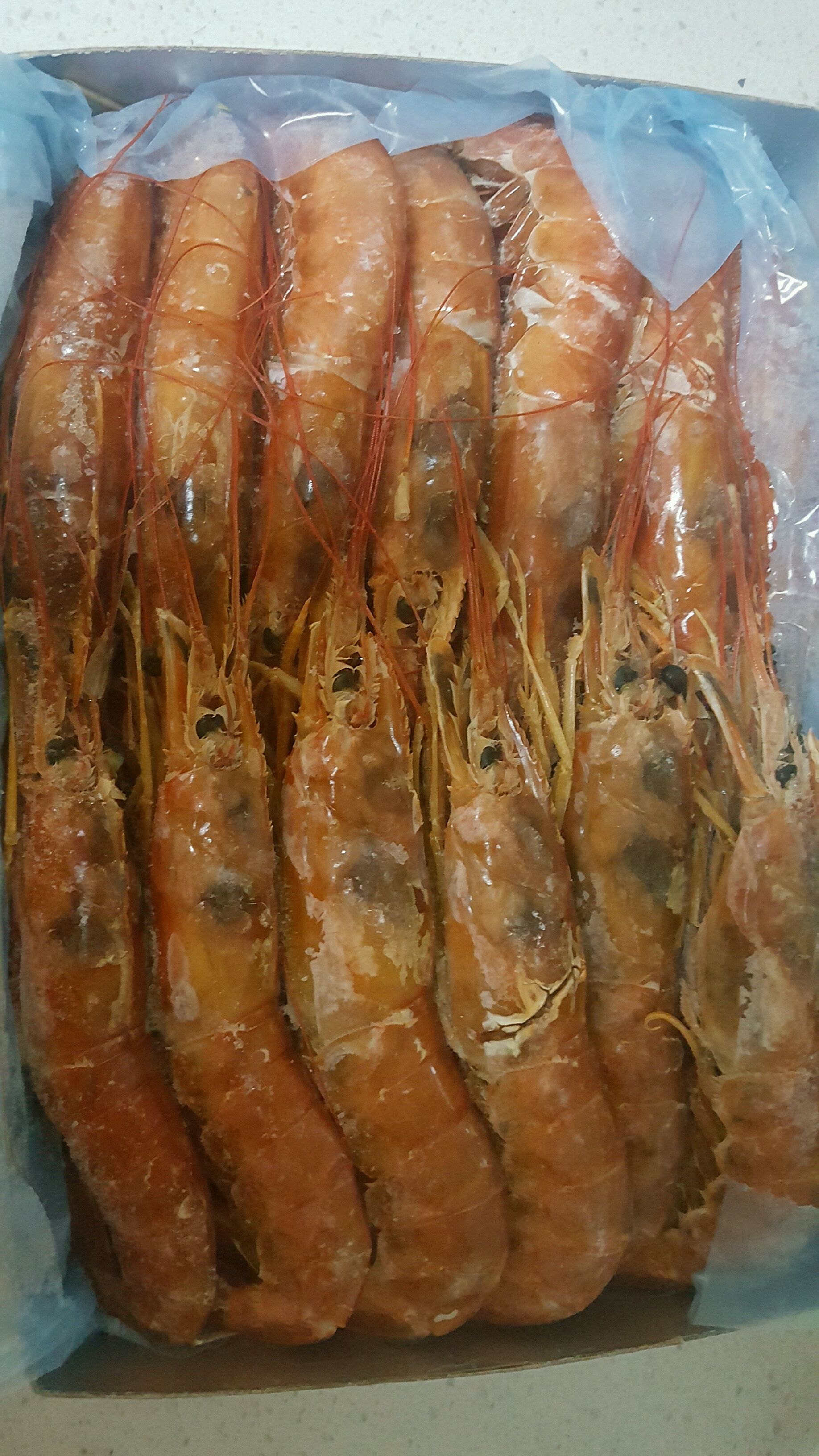清蒸阿根廷红虾怎么做_清蒸阿根廷红虾的做法_豆果美食