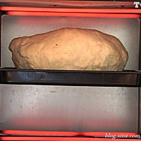 叫花子鸡的做法图解11