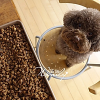 14种食材全天然自制狗粮的做法图解9