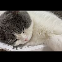 祛痰！小吊梨汤☕️的做法图解15