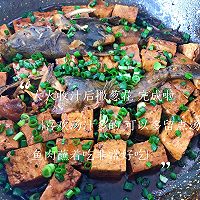 昂刺鱼炖豆腐的做法图解7