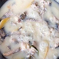 超鲜的奶白黑鱼汤的做法图解6