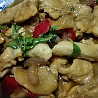 九层塔【荆芥】泰式炒鸡肉的做法图解12