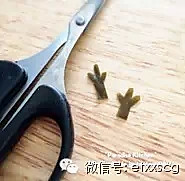 圣诞便当系列——圣诞驯鹿的做法图解2