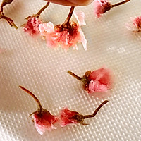 樱花-在绿色的春意里绽放的做法图解2