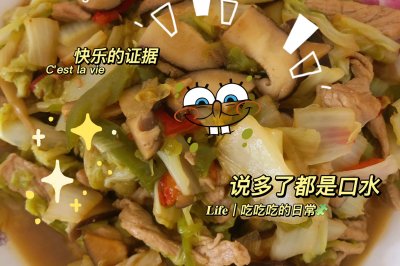 白菜炖猪肉