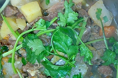 土豆炖牛肉