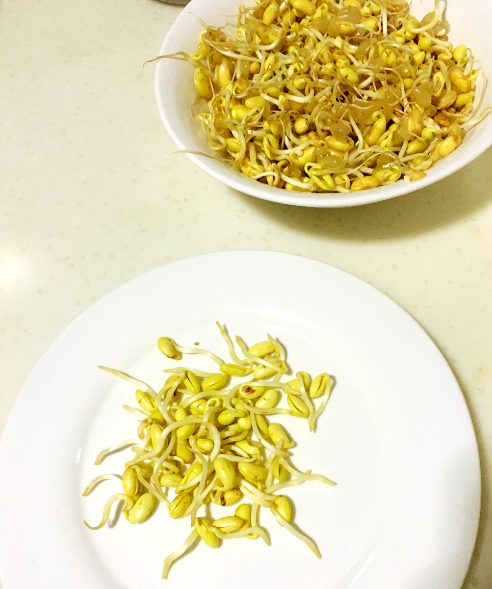自制黄豆芽怎么做_自制黄豆芽的做法_海天一色的厨房_豆果美食