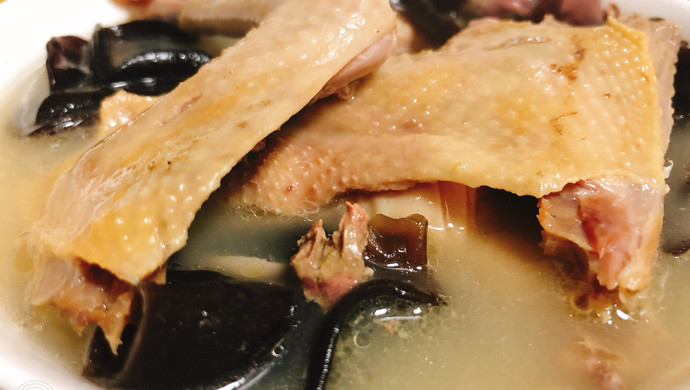 鸽子汤