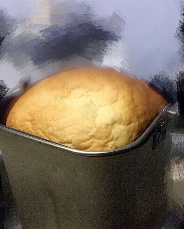 美的面包机 手撕面包 营养面包 早餐 椰蓉无糖添加面包的做法