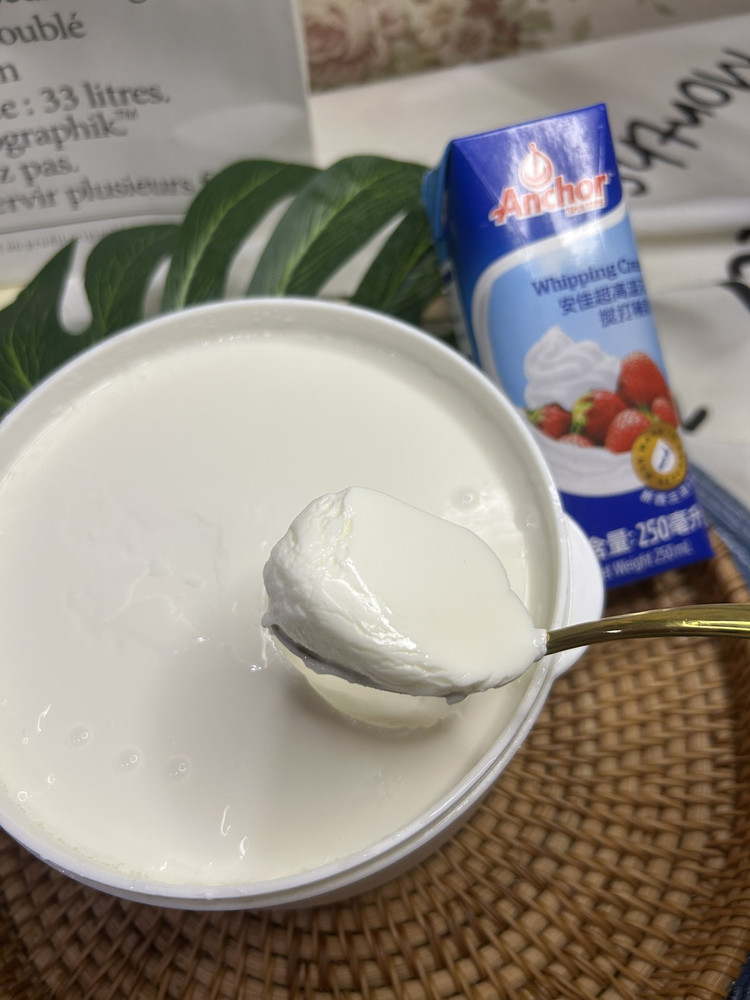 固体酸奶的做法
