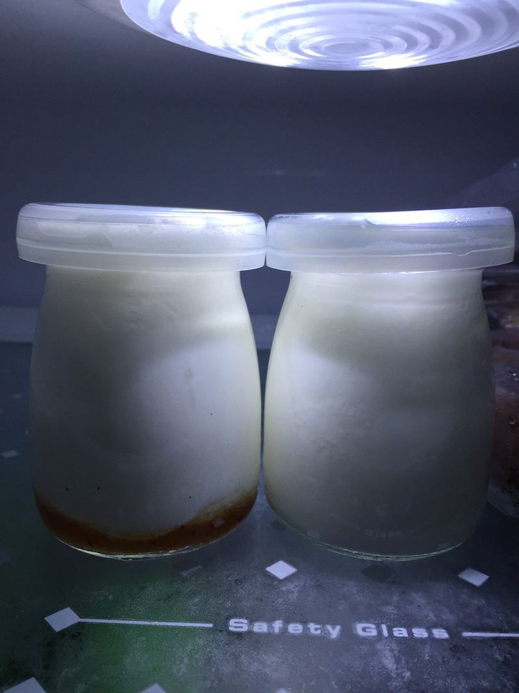 酸奶（自制酸奶）的做法
