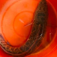 红烧黑鱼的做法图解1