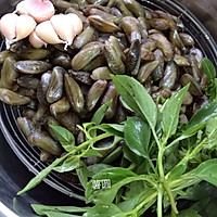 潮汕菜-金不换炒薄壳的做法图解4