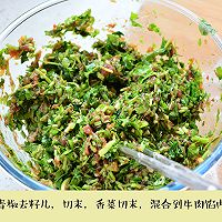 香菜青椒牛肉馅饼的做法图解3