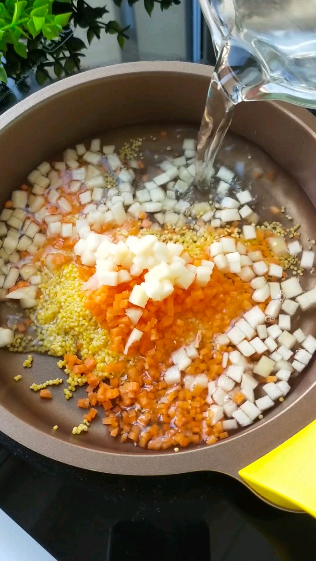 苹果胡萝卜小米粥怎么做_苹果胡萝卜小米粥的做法_豆果美食
