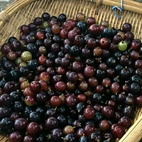 葡萄酒的做法图解3