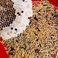 蜂蛹（油炸土蜂子儿）的做法图解2