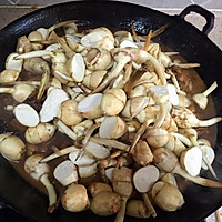 茨菰烧鸡#沃康山茶#的做法图解7