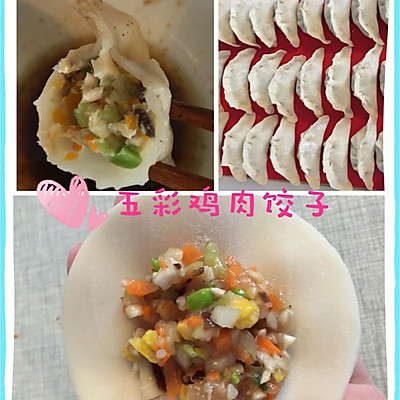 五彩鸡肉饺子