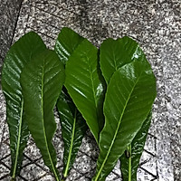 自制宝宝枇杷膏的做法图解1