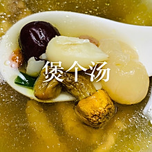 一人食•煲汤