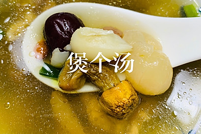 一人食•煲汤