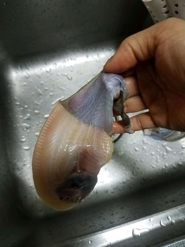 舌鳎鱼的做法图片