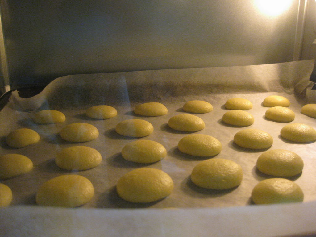 蛋黄小饼干怎么做_蛋黄小饼干的做法_豆果美食