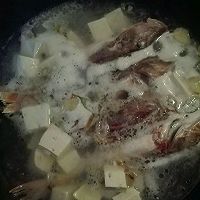 红头鱼炖豆腐的做法图解4