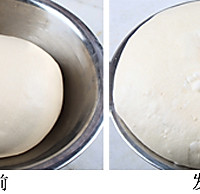 专做的发酵面团（基础面）的做法图解4