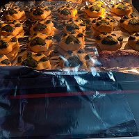 宠物小饼干的做法图解8