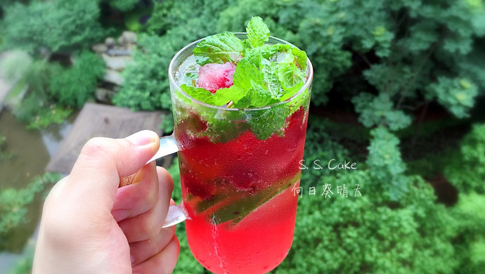 蔓越莓莫吉托（mojito）