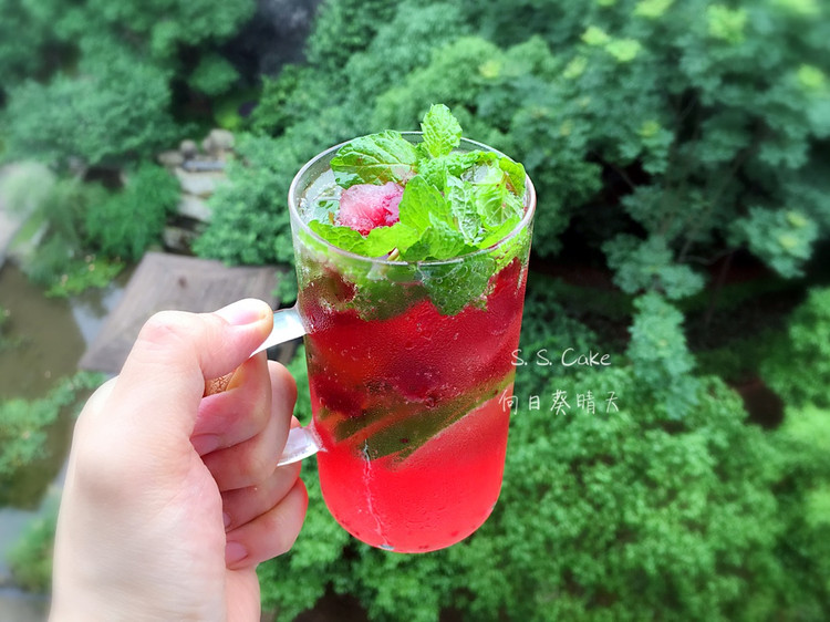 蔓越莓莫吉托（mojito）的做法