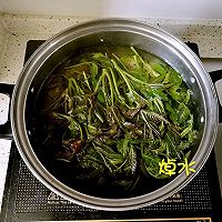 香椿鱼儿的做法图解2