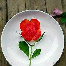 西红柿太阳花