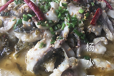 酸菜鱼