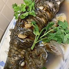 清蒸罗非鱼