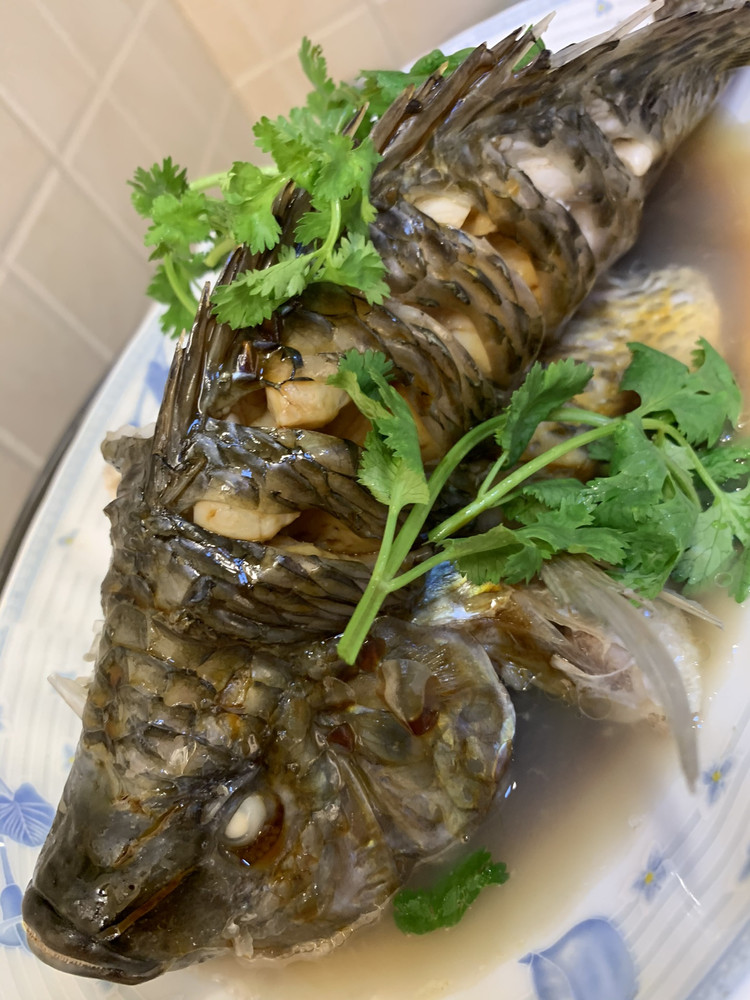 清蒸罗非鱼的做法