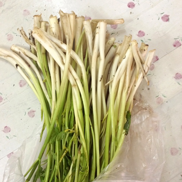 凉拌水芹菜的做法图解1