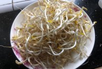 发健康绿豆芽的做法
