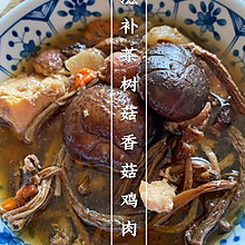 滋补茶树菇香菇鸡肉汤